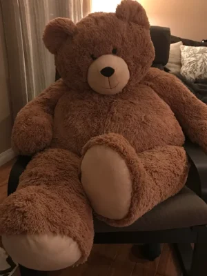 Teddy Bear Plush Toy (Medium Size)